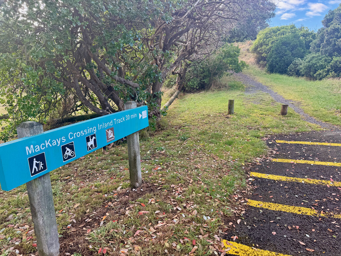 Photo from Queen Elizabeth Park