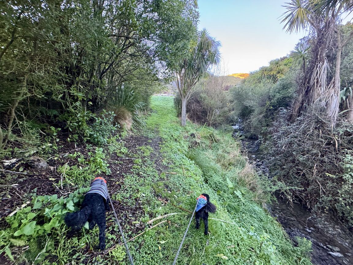 Photo from Frenchay Reserve