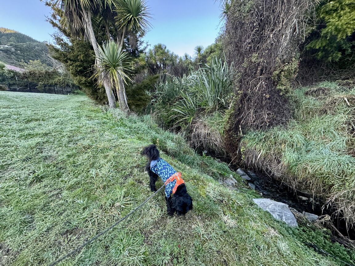 Photo from Frenchay Reserve