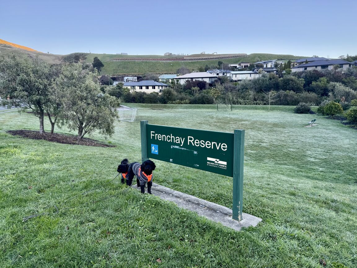Photo from Frenchay Reserve