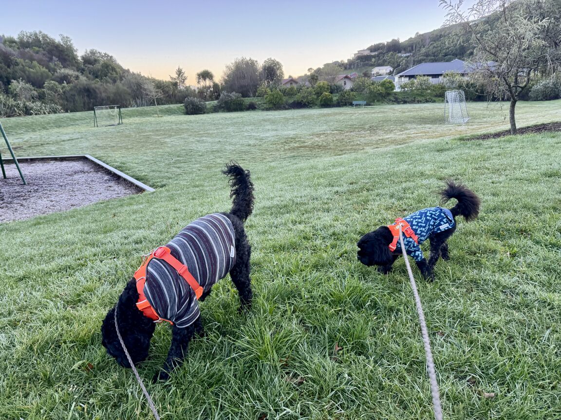 Photo from Frenchay Reserve