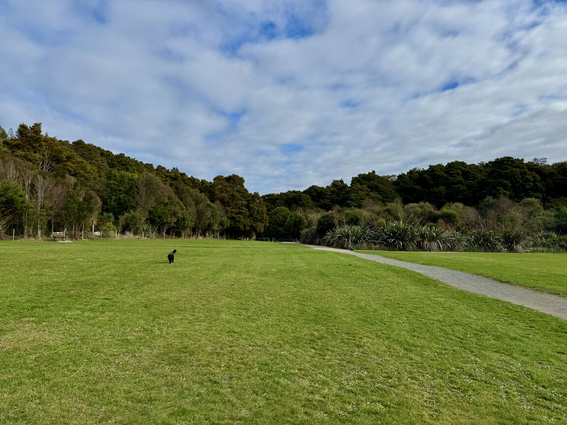 Photo from Faulkner Bush Reserve
