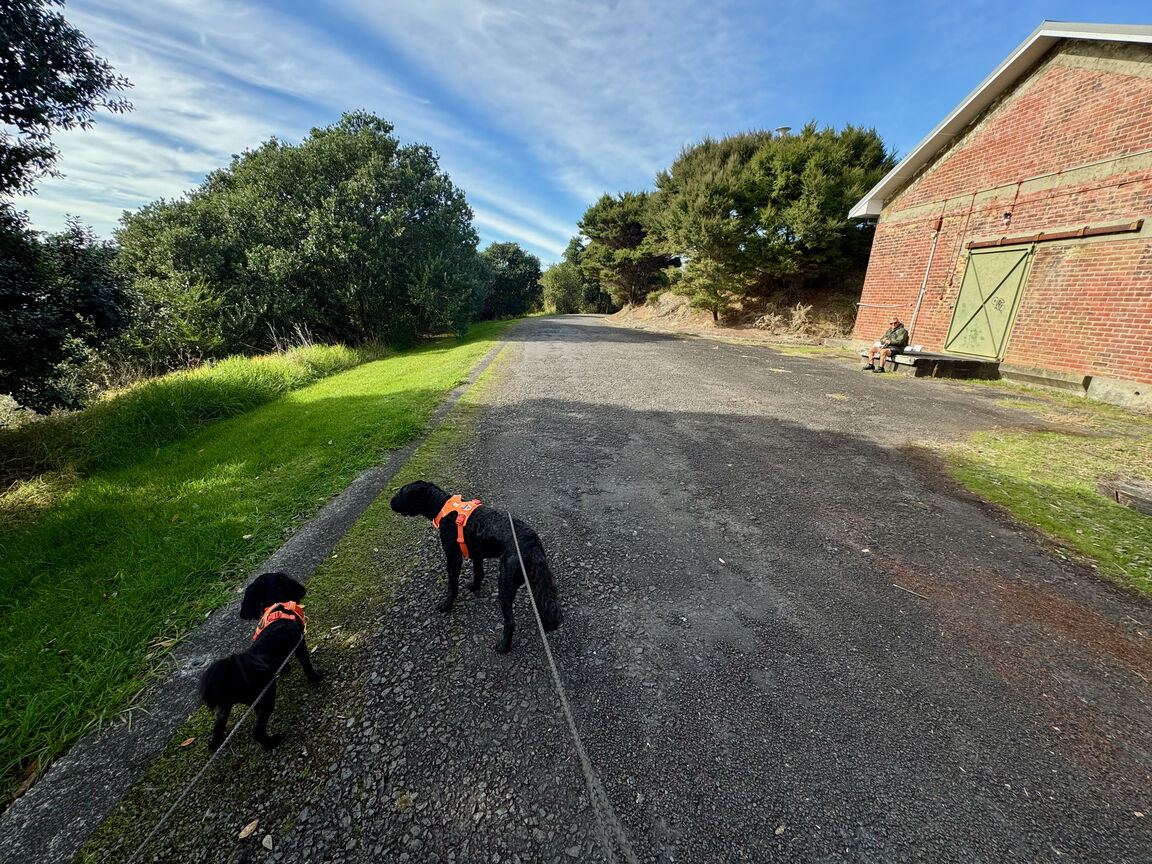 Photo from Hobsonville Esplanade