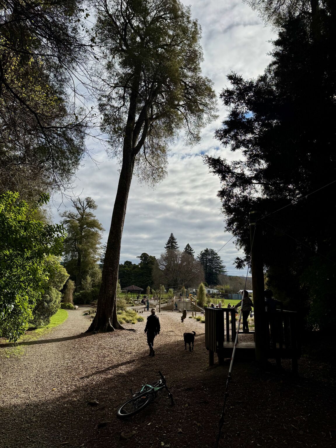 Photo from Faulkner Bush Reserve Picnic and Playground Area
