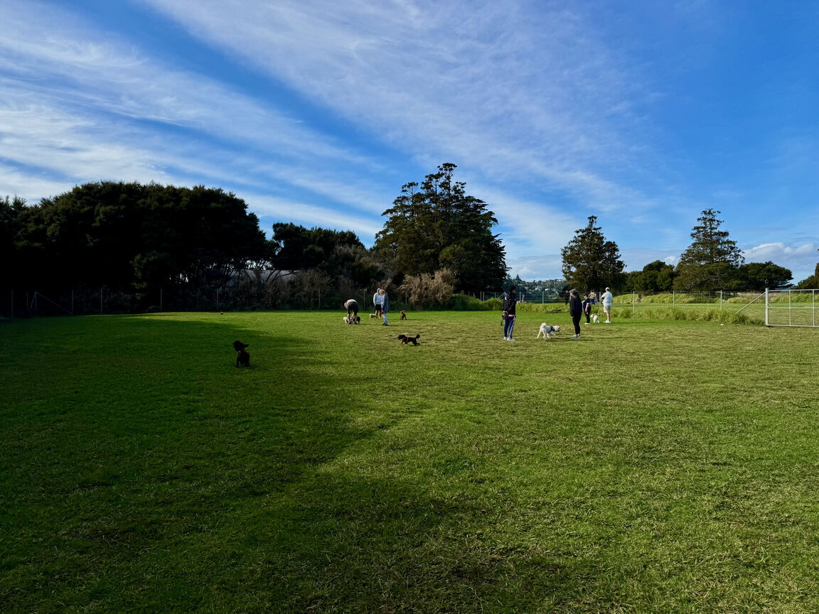 Photo from Hobsonville Esplanade