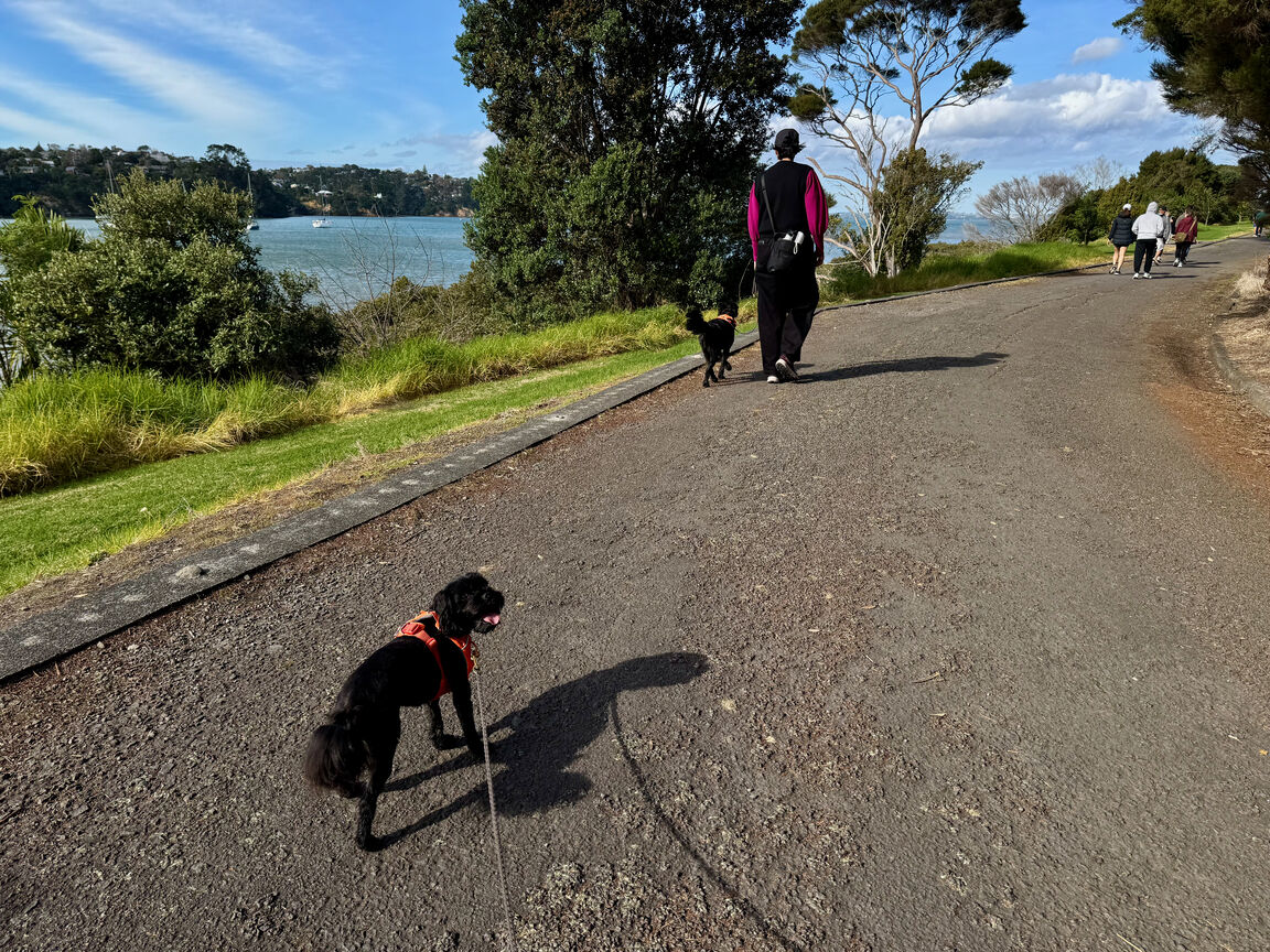 Photo from Hobsonville Esplanade