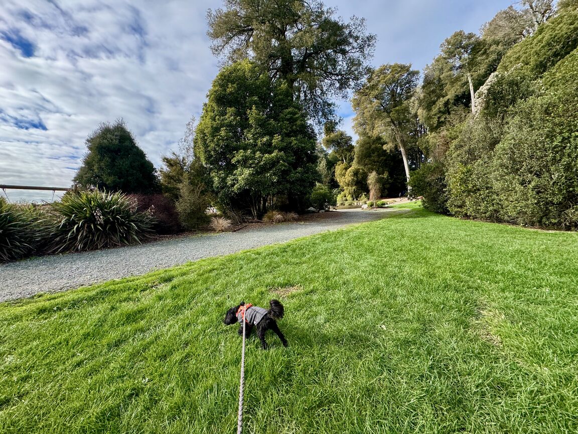 Photo from Faulkner Bush Reserve Picnic and Playground Area