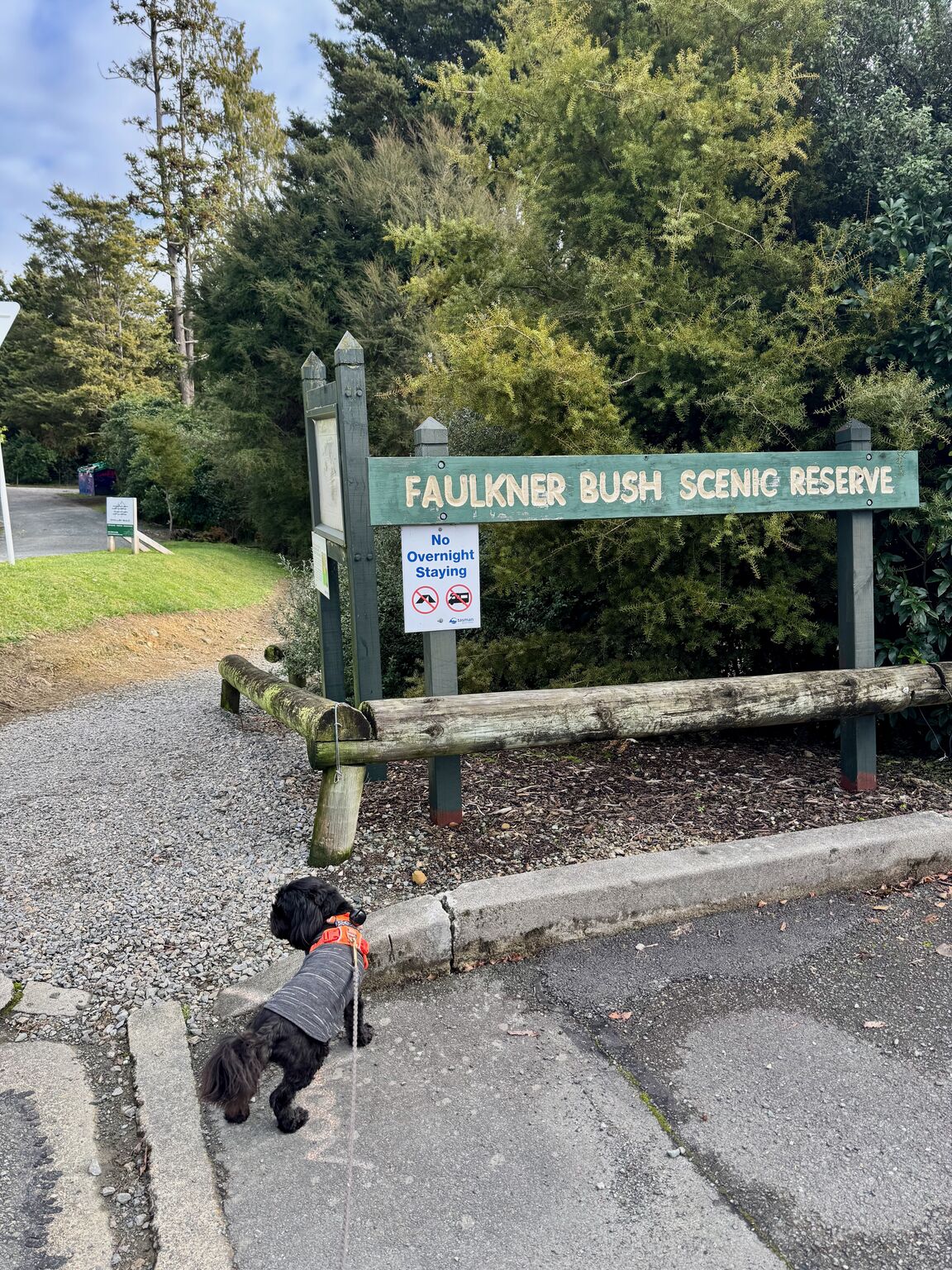 Photo from Faulkner Bush Reserve