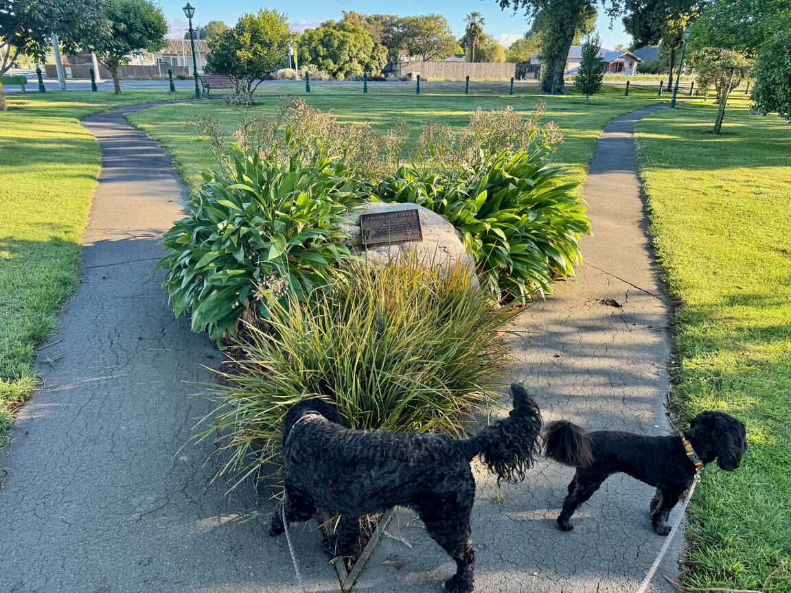 Photo from Springlands Green