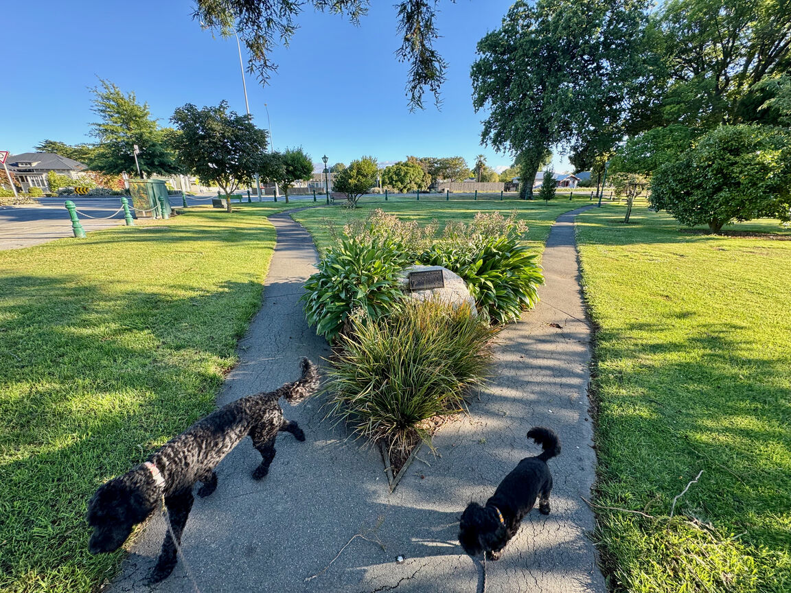 Photo from Springlands Green