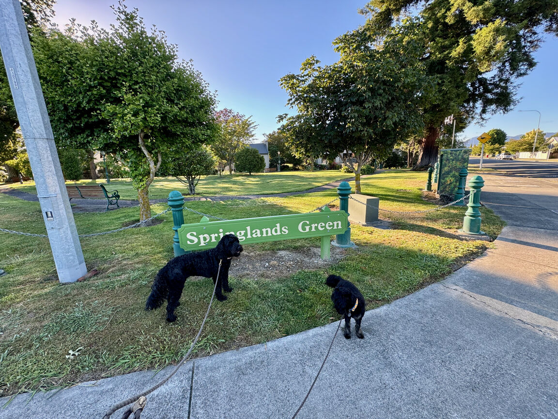 Photo from Springlands Green