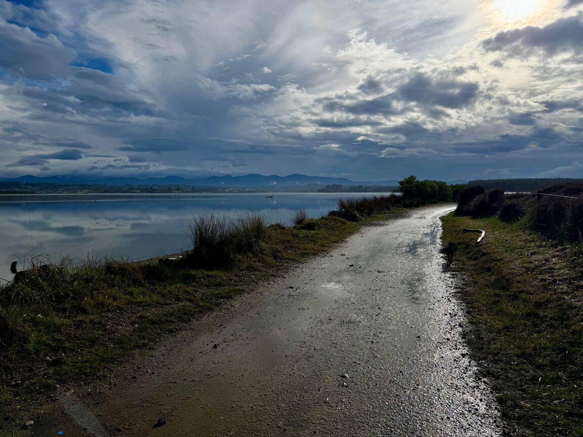 Photo from Rough Island