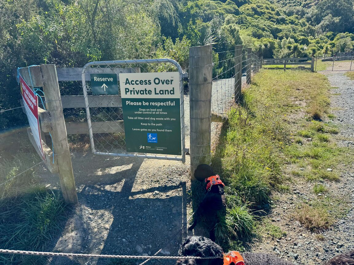 Photo from Titoki Reserve