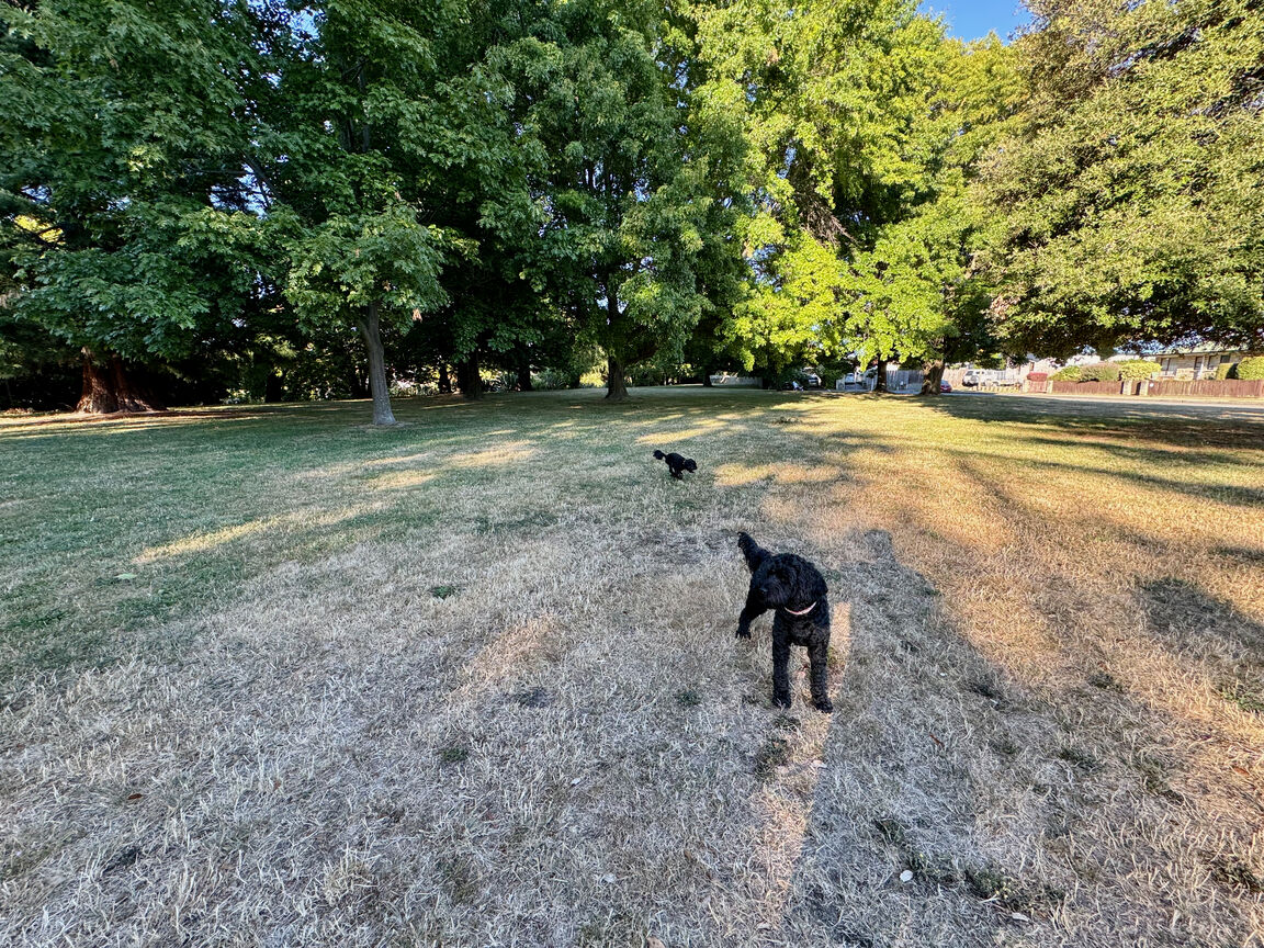 Photo from Murphy's Creek Reserve