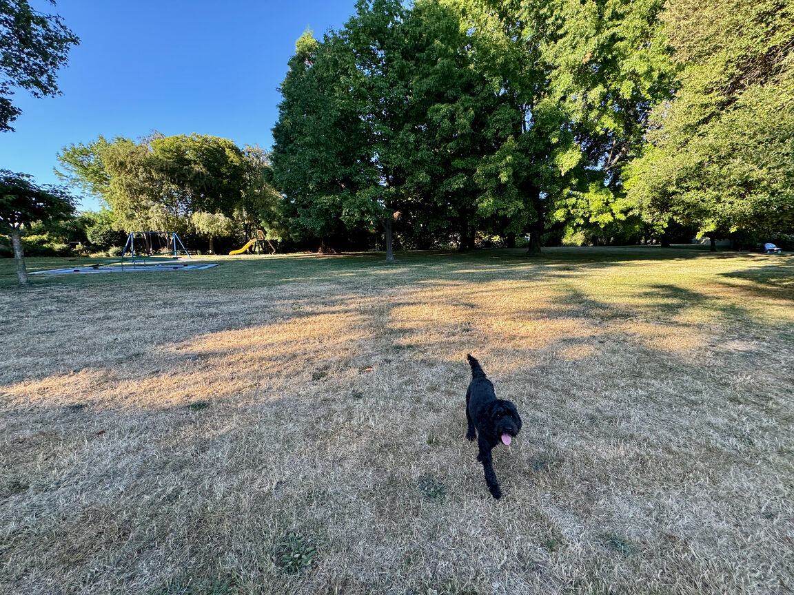 Photo from Murphy's Creek Reserve