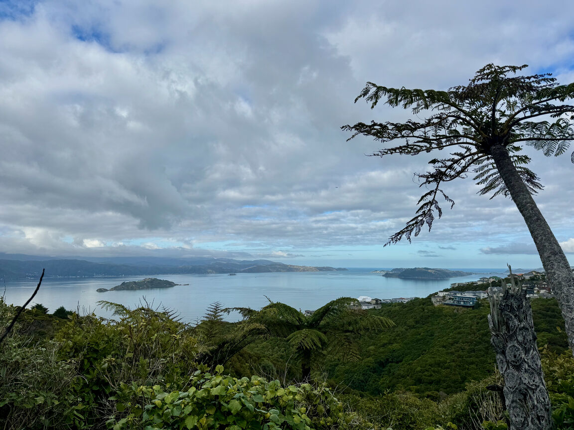 Photo from Waihinahina Park in Memory of Dennis Duggan