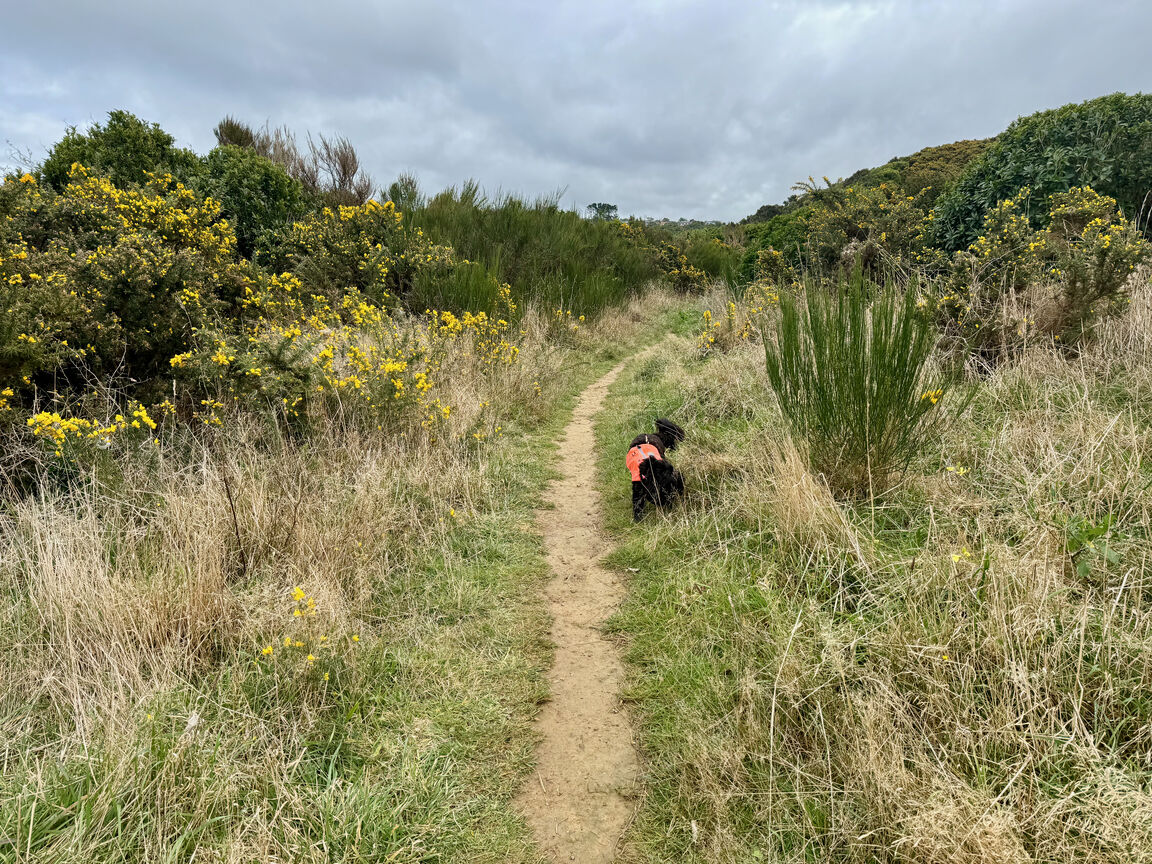 Photo from Waihinahina Park in Memory of Dennis Duggan